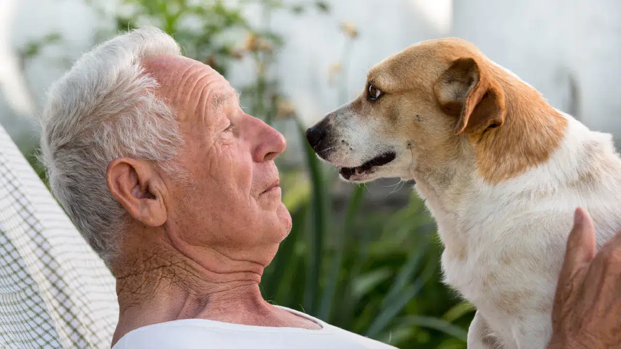 Evcil hayvanlar ileri yaştaki bireylerin yaşam kalitesini artırıyor
