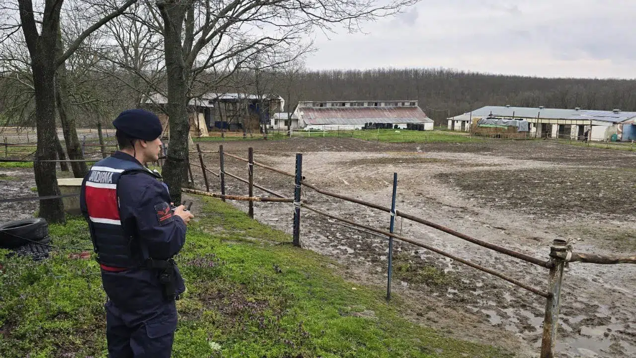 İstanbul’da 306 kilogram at eti ele geçirildi, 3 kişi gözaltında