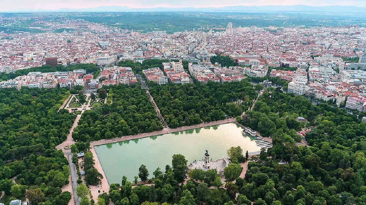 Madrid, iklim krizine karşı 500 bin ağaçla şehir ormanı kuruyor