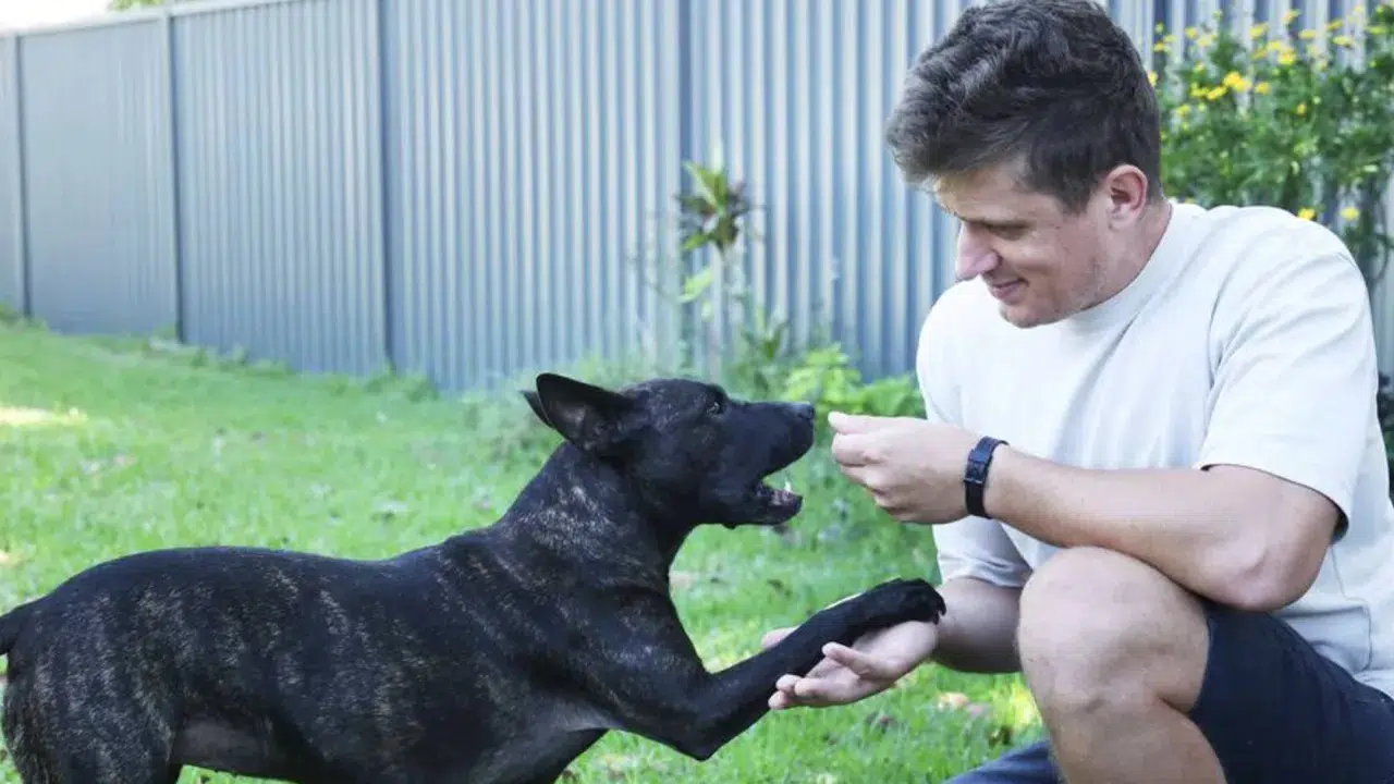 Yapay zeka destekli kanser aşısı mucizesi: Rosie’nin tümörü %75 küçüldü