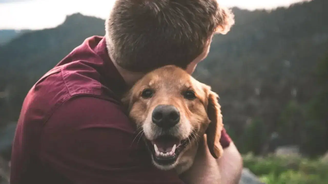 Köpek sahipleri kalp krizine karşı daha korumalı: Araştırma ölüm riskini düşürdüğünü gösteriyor