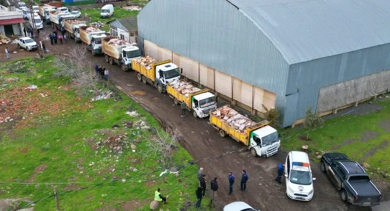 Dev operasyon: 50 ton bozuk tavuk eti ele geçirildi