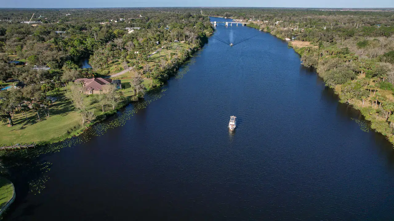 Dünyanın en tehlikeli suyu Florida'da: 30 bin timsah ve zehirli alg istilası