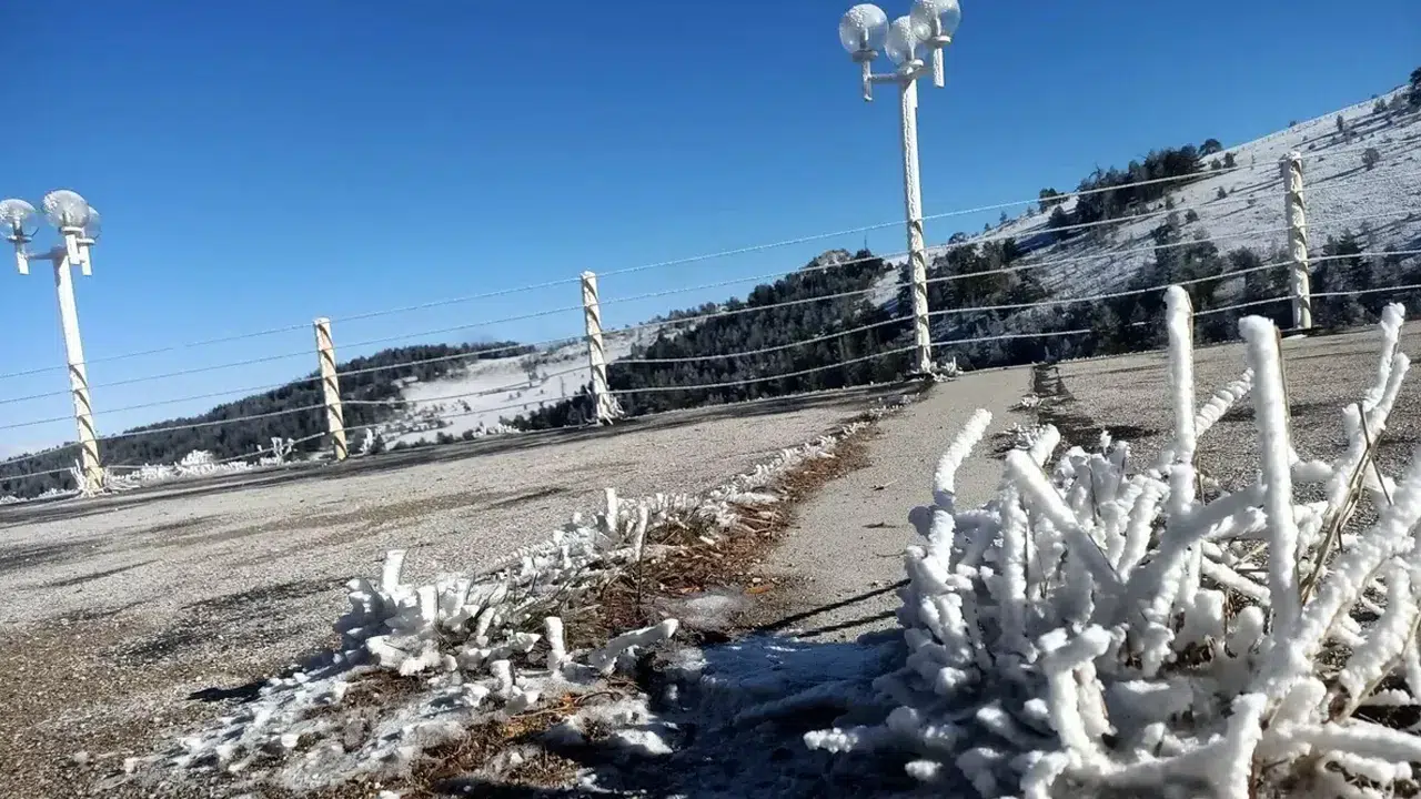 54 ilde zirai don felaketi: Toprak sıcaklığı -13'e düştü
