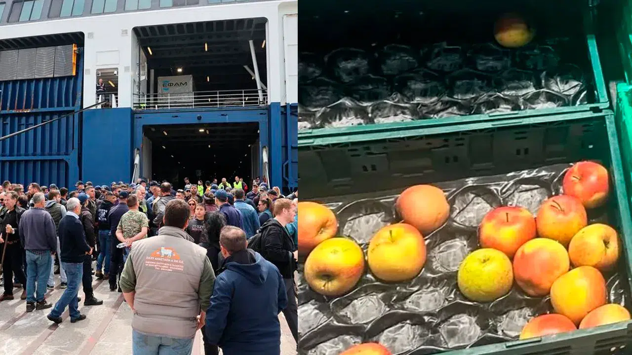 Midilli Adası'nda şap alarmı: Market rafları boşaldı, tedarik zinciri koptu