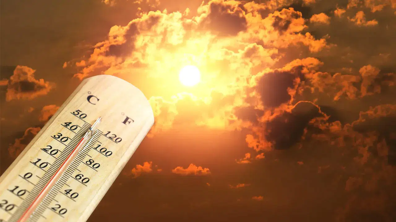 Dünya yeniden El Nino etkisine girebilir: 2026 ortası işaret edildi