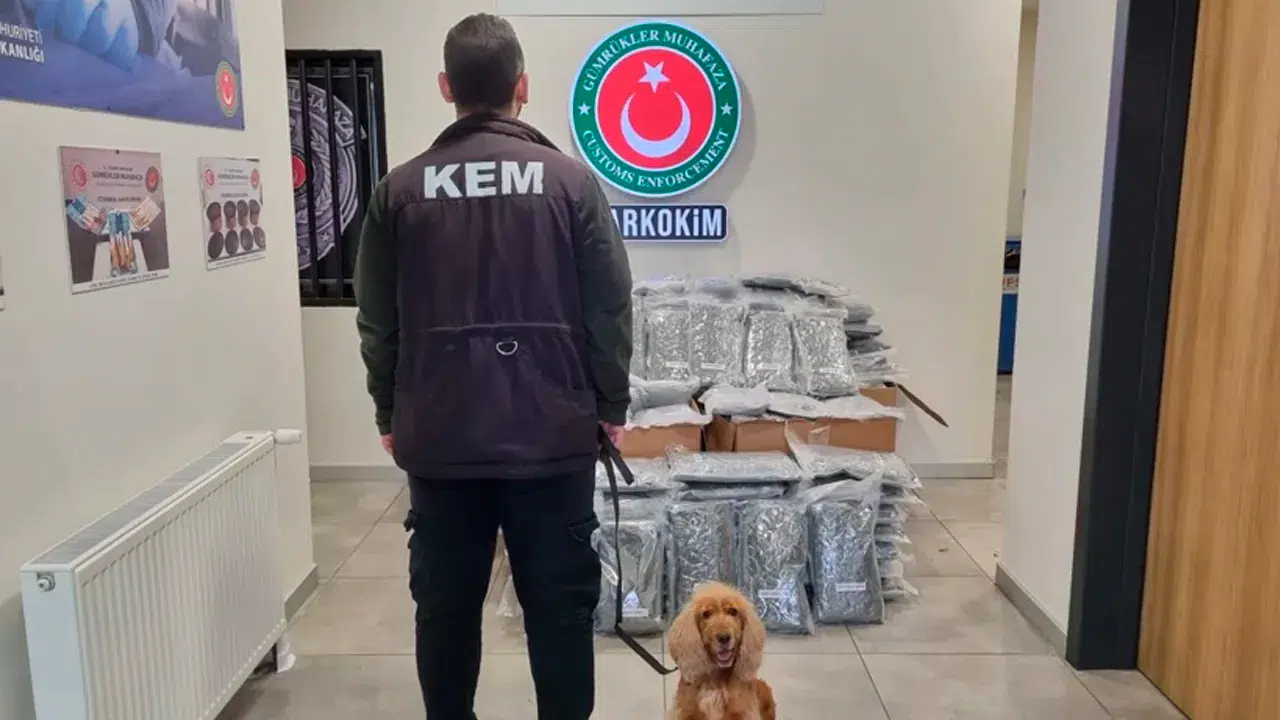 Gümrük Muhafaza ekiplerinden zehir tacirlerine darbe: 420 kilogram esrar ele geçirildi