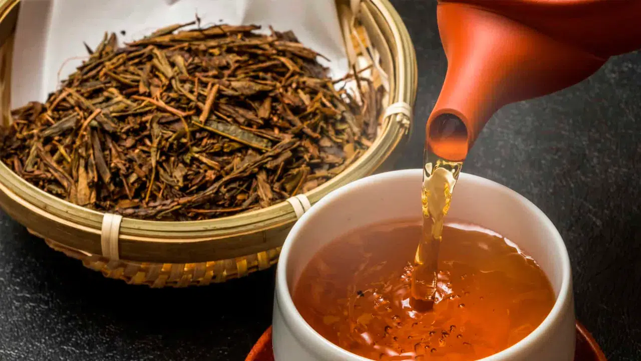 Matcha'nın tahtına aday: Japonya'nın kavrulmuş lezzeti hojicha yükselişte