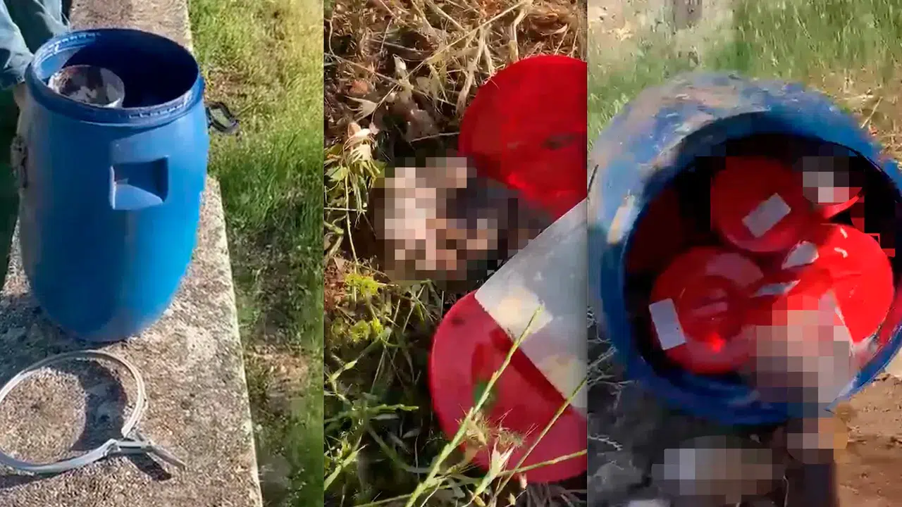Mezarlıkta skandal görüntü: Plastik varilden hastane etiketli 21 cenin çıktı