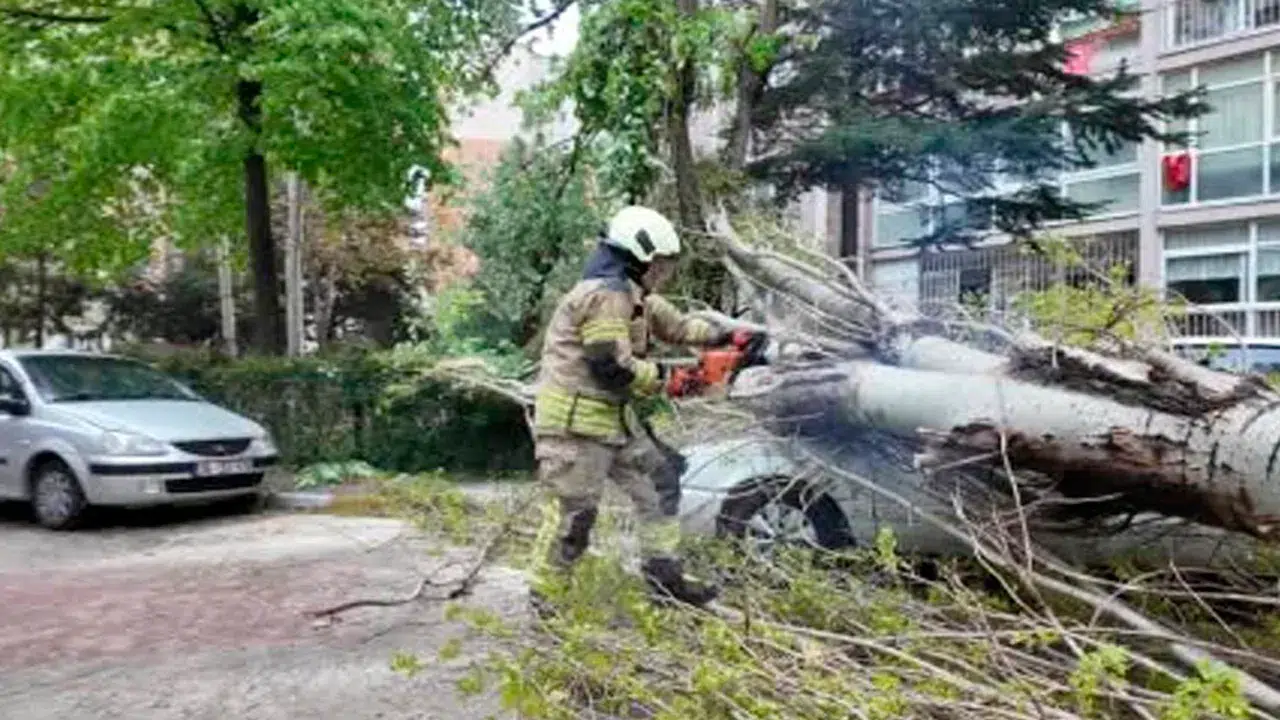 İstanbul’da poyraz etkili oldu: Beylikdüzü’nde devrilen ağaç otomobili ezdi