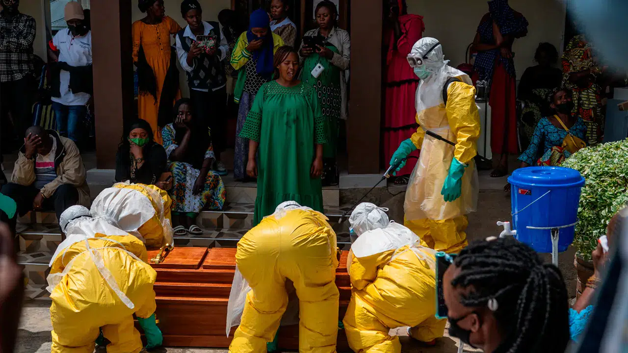 Kongo'da Ebola alarmı: Vaka sayısı 1000'i aşarken seyahat yasakları kriz yarattı