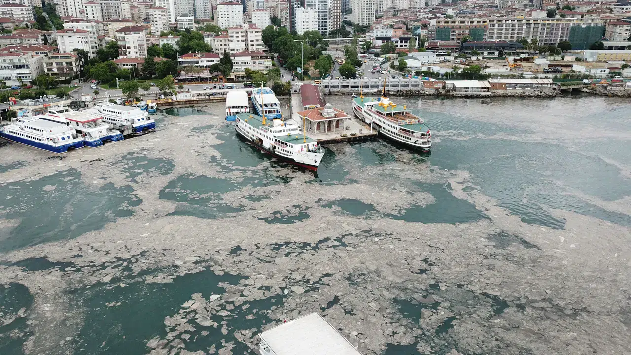 Marmara Denizi’nde mikroplastik kirliliği kritik seviyeye ulaştı