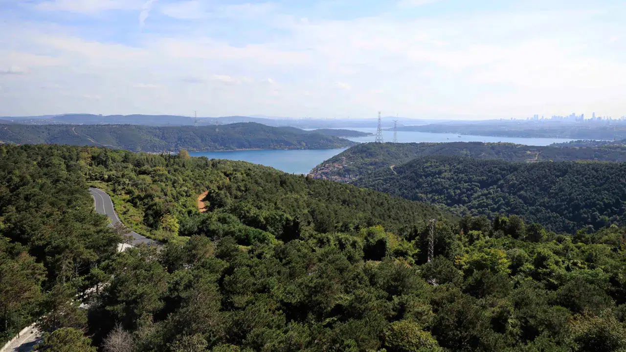 İstanbul'da orman yangınlarına karşı dev tedbir: Ormanlık alanlara girişler yasaklandı