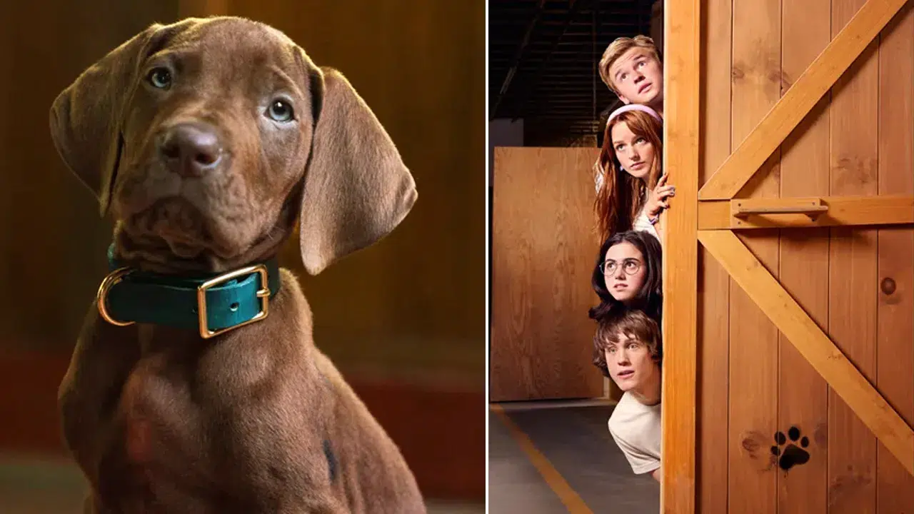Scooby-Doo dizisi geliyor: İlk kez gerçek bir köpek Scooby-Doo’yu canlandıracak