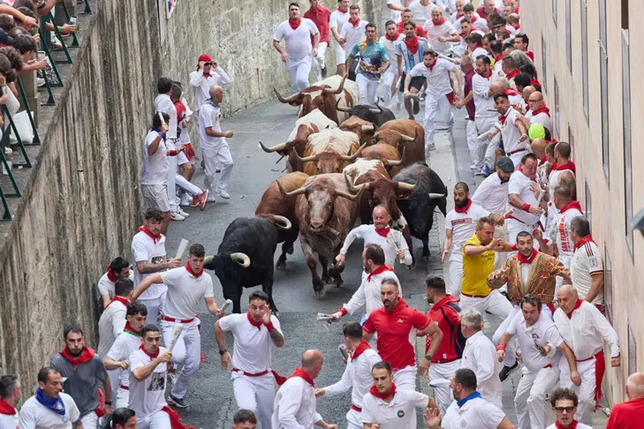 San Fermin'de 8 günlük boğa koşularında 70'ten fazla kişi yaralandı