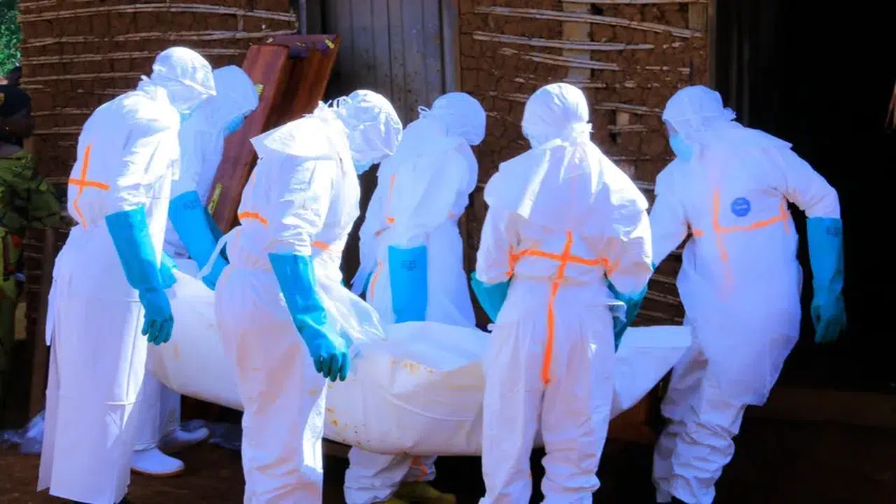 Kongo'daki Ebola salgınında can kaybı 506'ya yükseldi