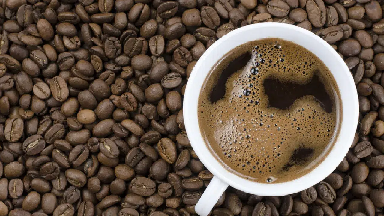 Kahve alarm veriyor: İklim krizi fincanımıza kadar ulaştı