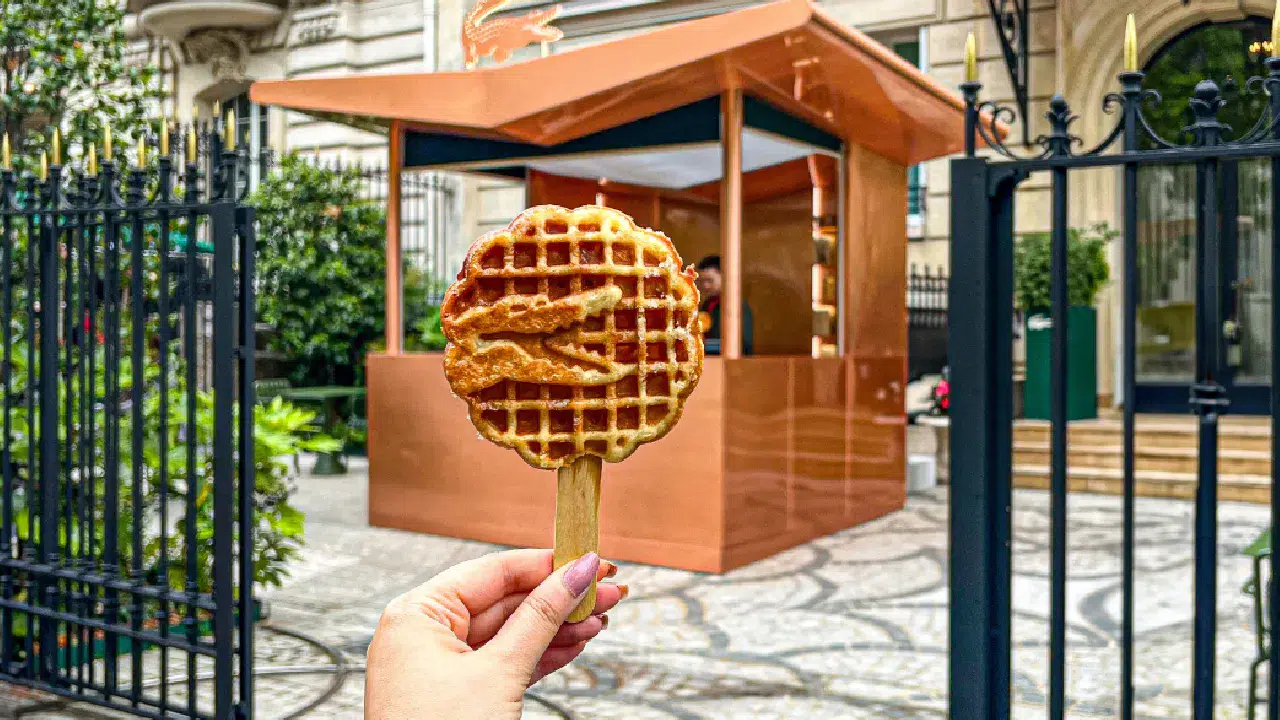 Lacoste’tan sürpriz hamle: Timsah bu kez mutfağa girdi