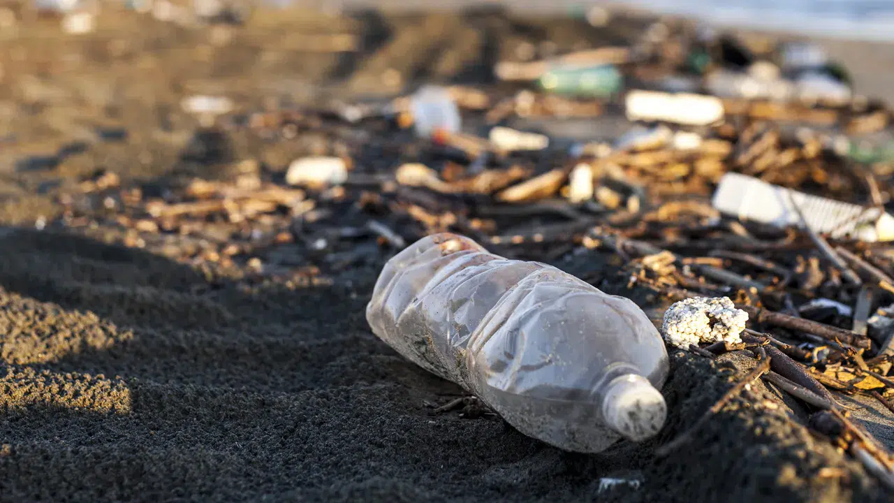 Araştırma: Plastiğin insan sağlığına zararı iki katına çıkabilir