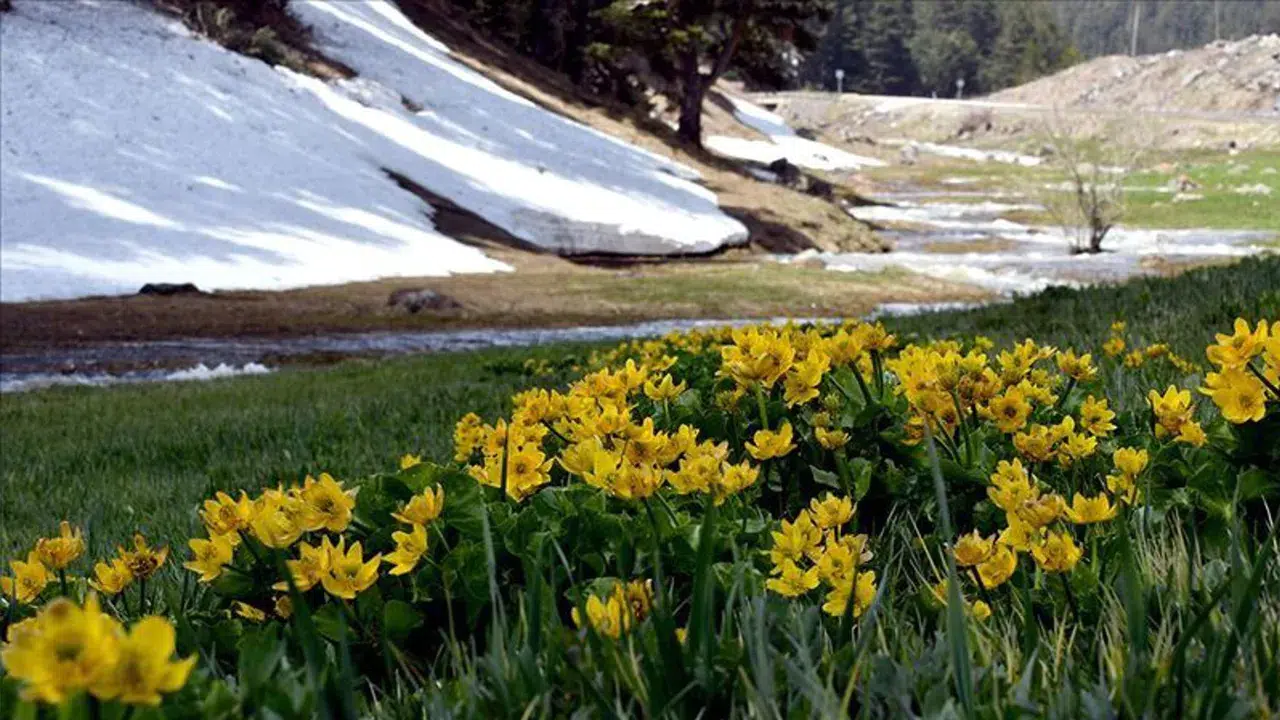 İlk cemre ne zaman düşecek? 2026 cemre düşme tarihleri belli oldu