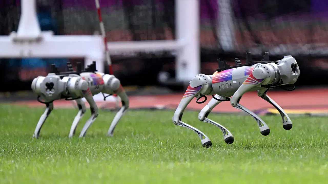 Robot köpekler 2026 Dünya Kupası’nda maçlarda devriye atacak