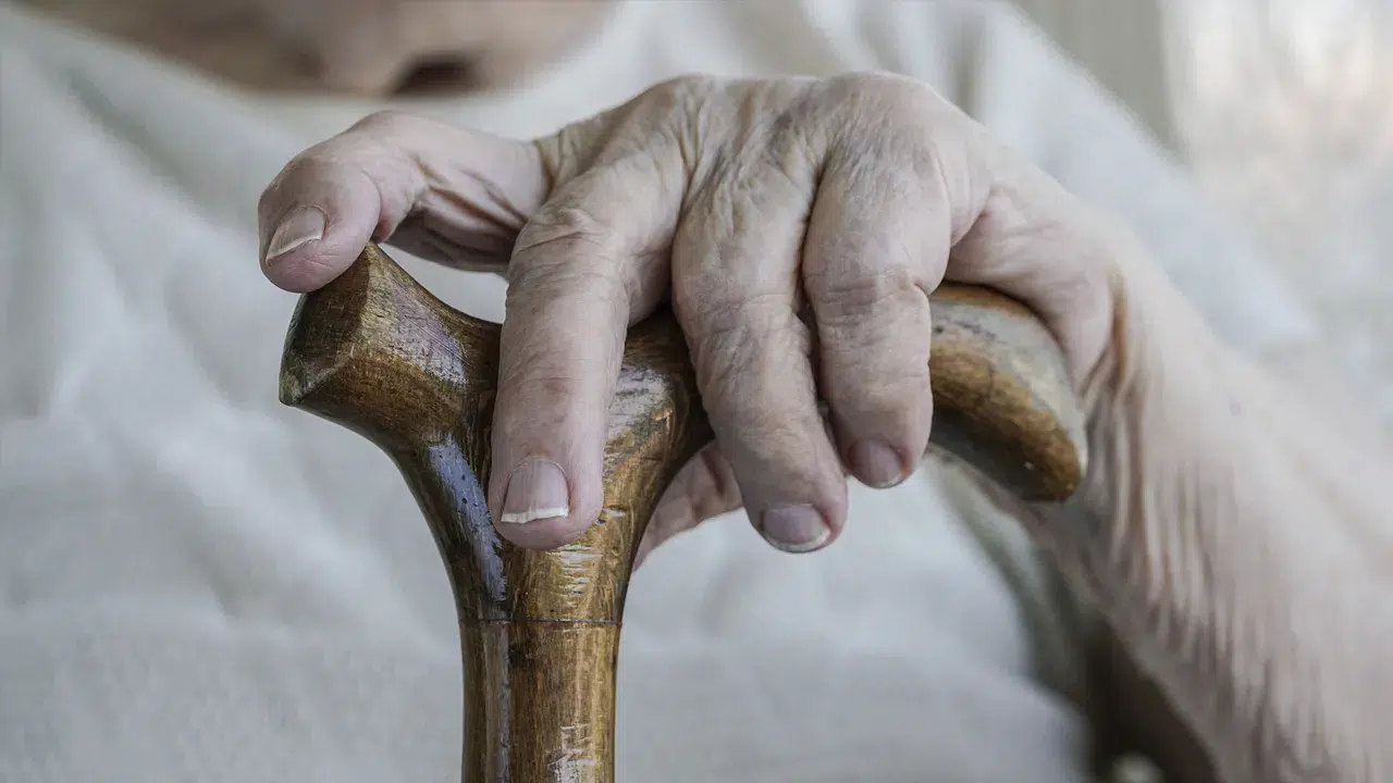 Avrupa yaşlanırken Türkiye "en genç" kalmaya devam ediyor