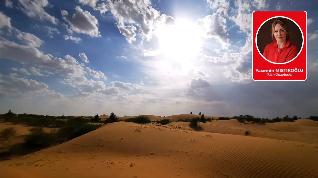 Çöl tavşanla değil, doğayı taklit ederek yeşerir