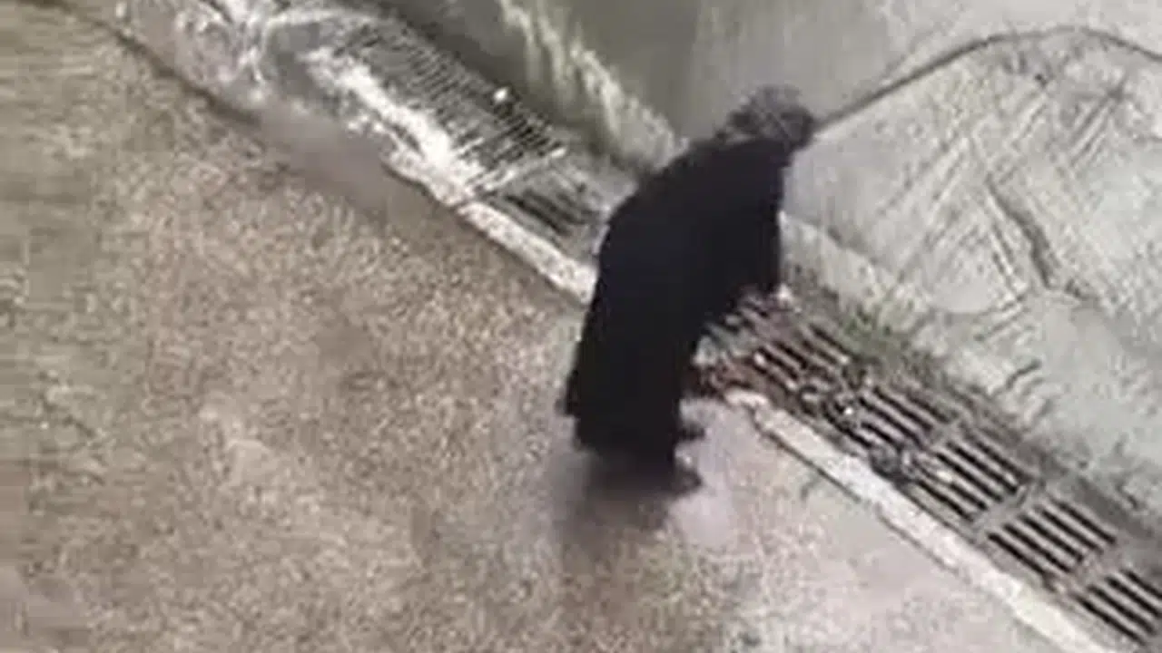 Sağanak yağışta örnek vatandaşlık: Bastonuyla mazgalları açtı