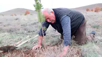 Bozkırda yükselen bir doğa mucizesi: 12 bin fidanla gelen hayat