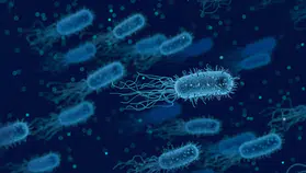 Bilim dünyasında çığır açan keşif: Bağırsak bakterileri serotonin üretiyor
