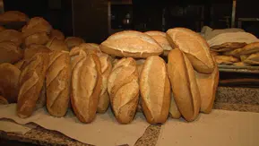 Ekmeğe zam geldi: 200 gram ekmek 17,5 TL oldu