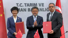 Türkiye'den Çin'e defne ihracatı için yeşil ışık: 60 milyon dolarlık yeni kapı