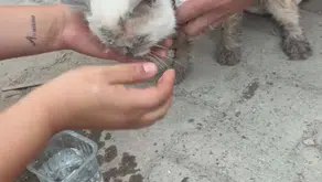 Maltepe'deki yıkımda mucize kurtuluş: Beton yığınlarının arasından sağ çıktı