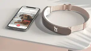 Yapay zekâlı tasma: Köpeklerle konuşma hayali gerçek mi oluyor?