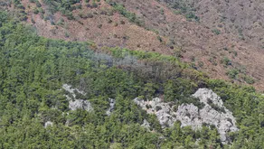 Kemer’deki alevler ekiplerin dört saatlik çalışmasıyla durduruldu
