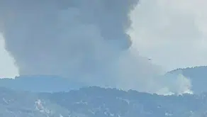 Kuyucak'ta orman yangını: Ekipler havadan ve karadan müdahale ediyor