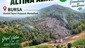 Bursa'da anız ateşi ormana sıçradı: Ekiplerin hızlı müdahalesi faciayı önledi