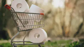 Selpak ve Solo’nun üreticisi Sanipak satılıyor