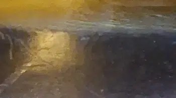 Sakarya'da sağanak felaketi: Darıçayırı Mahallesi ile ulaşım kesildi