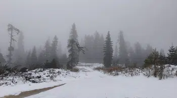 Safranbolu'da mantar mesaisi kar yağışıyla bölündü