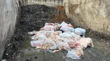 Sakarya'da gıda skandalı: Dana sucuğu diye domuz eti satmaya çalıştılar