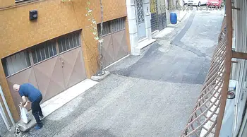 Bursa'da vicdansızlık kamerada: Sokak hayvanlarının mama kaplarını çöpe attılar