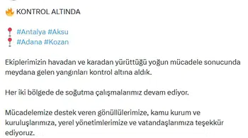 Antalya ve Adana'daki orman yangınlarında sevindiren haber: Alevler söndürüldü