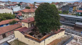 Sanat Güneşi'nin ilham kaynağına 300 yıllık vefa: Bir ağacın gölgesinde saklı kalan hatıralar