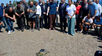Akdeniz'in yeni gözlemcisi Hanzala: Uydu takibiyle doğaya bırakıldı