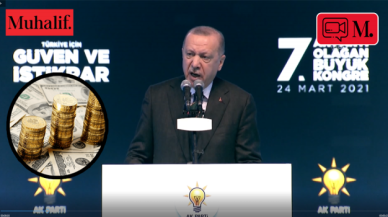 Erdoğan'dan "Dövizleri, altınları yastık altından çıkarın" çağrısı