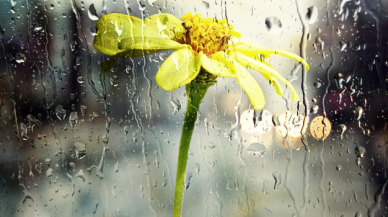 Prof. Dr. Şen: "Yağış, 5 gün ülkemizde kalacak”