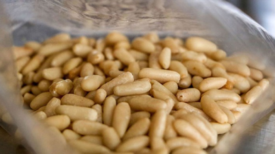 20 liralık yer fıstığını, 800 liraya satıyorlar