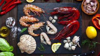 Ünlü restoran markaları Güney’e iniyor