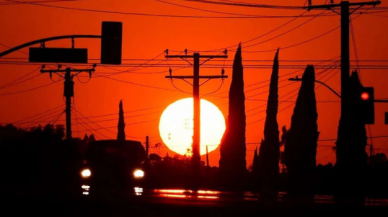California sıcak hava dalgaları nedeniyle acil durum ilan etti